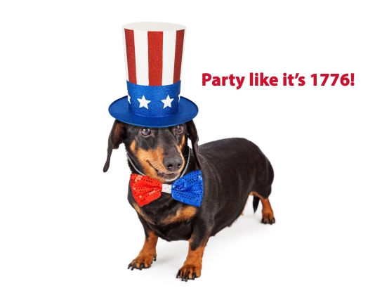 Fourth of July Dachshund Dog